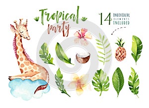 Hand drawn watercolor tropical plants set and giraffe. Exotic palm leaves, jungle tree, brazil tropic botany elements