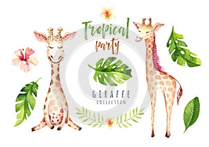 Hand drawn watercolor tropical plants set and giraffe. Exotic palm leaves, jungle tree, brazil tropic botany elements