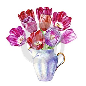 Hand drawn watercolor bouquet of colorful tulips in a porcelain vase on white background