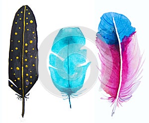 Hand drawn watercolor vibrant feather set.