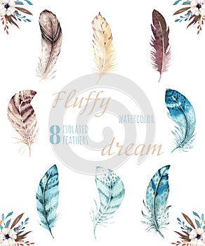 Hand drawn watercolor vibrant feather set. Boho style. illustration isolated on white. Bird fly feathers design for