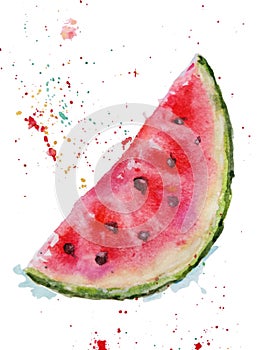 Hand drawn watercolor watermelon. Vector illustration of fruit watermelon with splash