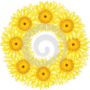 Hand drawn watercolor yellow sunflower wreath border frame isolated on white background. Can be used for invitation, postcard,