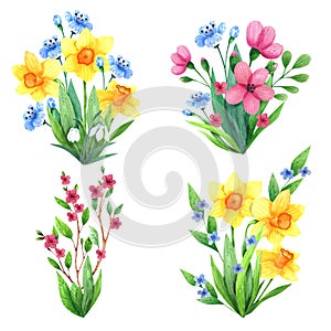 Hand drawn watercolorspring flowers and  leaves