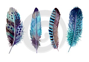 Hand drawn watercolour bird feathers vibrant boho style bright illustration