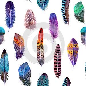 Hand drawn watercolour bird feathers vibrant bright seamless pattern illustration