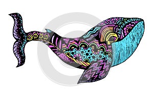 Hand drawn whale. Isolated illustration with high details in zentangle style