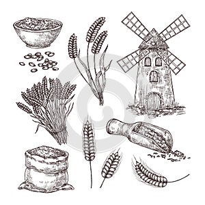 Hand drawn wheat. Sketch bag of grains, windmill, ear spikes and seed. Cereals vintage style vector illustration set
