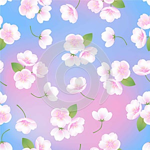 Hand drawn white flowers sakura blossom peach plant banner illustration, blue pink gradient vector seamless background