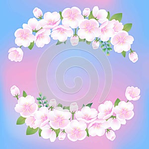 Hand drawn white flowers sakura blossom peach plant decorative illustration, blue pink gradient vector background