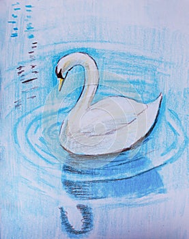 Hand drawn white swan