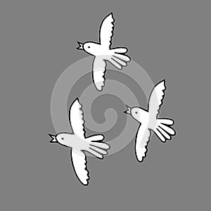 Hand drawn white vector illustration of a group of doves is flying on a gray background