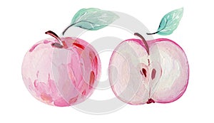 Hand-drawn whole pink apple with green leaves and cross section of pink apple