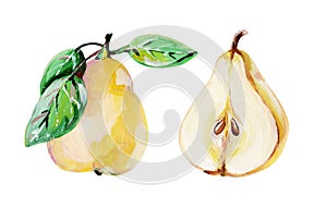 Hand-drawn whole yellow pear with green leaves and cross section of yellow pear