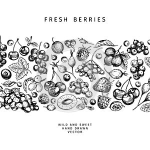 Hand drawn wild berry. Cherry, gooseberry, cranberry, raspberry, black currant, plum, rosehip, guelder rose, sea