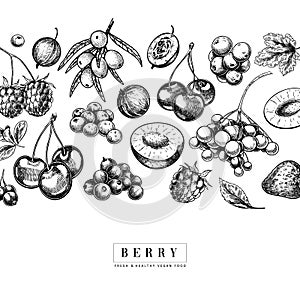 Hand drawn wild berry. Cherry, gooseberry, cranberry, raspberry, black currant, plum, rosehip, guelder rose, sea buckthorn, grape