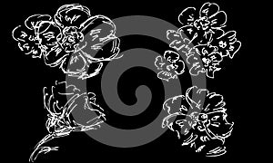 Hand drawn wild flowers set isolated on black background. Creative luxury fashion logotype concept icons. Hand Drawn vector