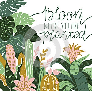 Hand drawn wild tropical house plants. Scandinavian style illustration, home decor. Vector print design.