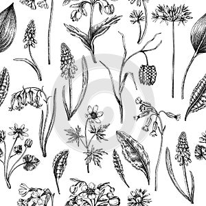 Hand-drawn wildflowers background design. Vintage woodland flowers sketches. Seamless spring pattern. Forest plant illustration.