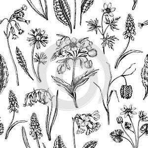 Hand-drawn wildflowers background design. Vintage woodland flowers sketches. Seamless spring pattern. Forest plant and wild