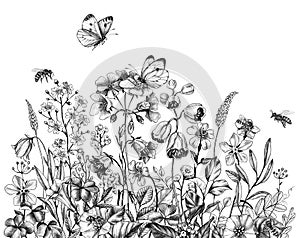 Hand Drawn Wildflowers, Bees  and Butterfly