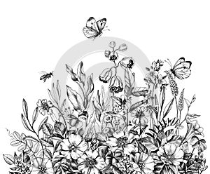 Hand Drawn Wild Flowers, Bees  and Butterfly photo