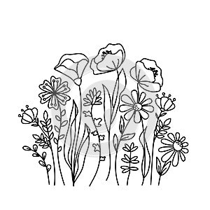 Hand drawn wildflowers meadow. Black and white doodle wild flowers and grass plants. Monochrome floral elements.