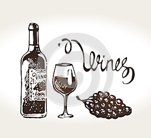 Hand drawn wine bottle, glass and grapes. Vector