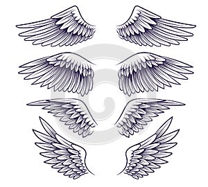 Hand drawn wing. Sketch angel wings with feathers, elements for logo, label or tattoo. Stencil silhouettes vintage