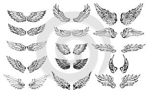Hand drawn wing vector set. colorful Sticker wing tattoo photo