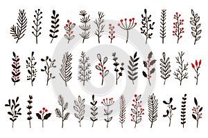 Hand drawn winter leaves and branches. Floral twig, botanical branch with berry and leaf doodle vector set