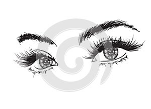 Hand-drawn woman`s luxurious eye