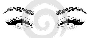 Hand drawn woman\'s sexy makeup look with perfectly shaped eyebrows and lashes. Vector illustration