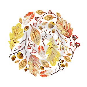 Hand-drawn yellow autumn circle composition with oak leaves, acorns, feathers and berries