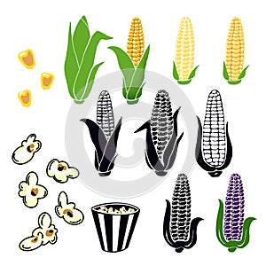 Hand drawn yellow corn cobs with green leaves, grains, popcorn popping, black white corn cobs, strip box package on white backgrou
