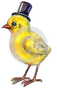 Hand-drawn yellow fluffy top hat chick