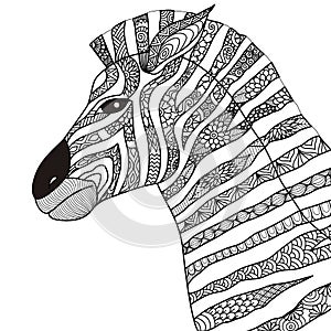 Hand drawn zebra zentangle style for coloring book,tattoo,t shirt design,logo