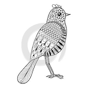 Hand drawn zentangle artistic Bird for adult antistress coloring