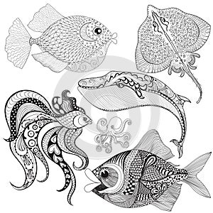 Hand drawn zentangle Fishes, Whale, Octopus, Stingray for adult