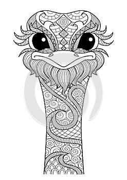 Hand drawn zentangle ostrich