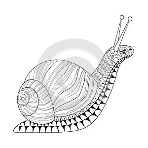Hand drawn zentangle Snail for adult anti stress colouring pages