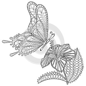 Hand drawn zentangle tribal flying Butterfly and Hibiskus flower