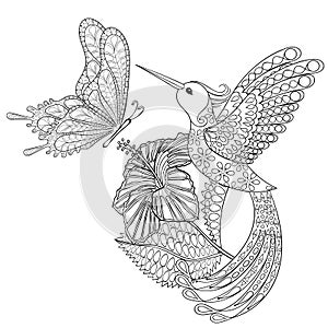 Hand drawn zentangle tribal flying butterfly, Hummingbird in hibiskus for adult anti stress coloring pages, t-shirt print.