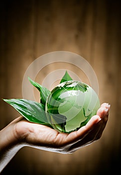 Hand with eco globe