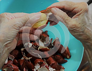 Hand of the elderly through hard work being peeled fruit in Thailand called Sa-la