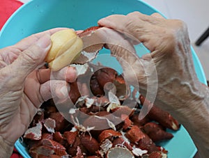 Hand of the elderly through hard work being peeled fruit in Thailand called Sa-la