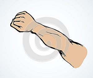 Hand with an elongated fist. Vector drawing