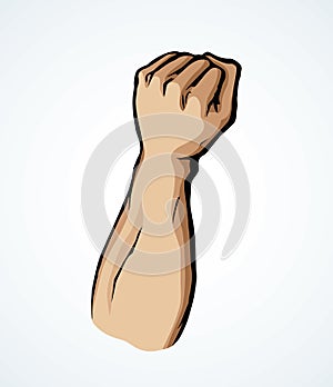 Hand with an elongated fist. Vector drawing