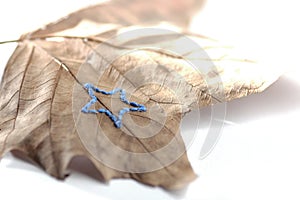 hand embroidery on sycamore leaf in front of white background - star theme - autumn / winter decoration