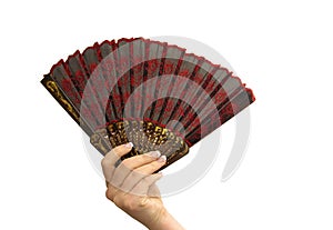 Hand with fan